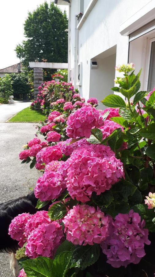 Chambre D'Hotes Les Hortensias Gelos Екстер'єр фото